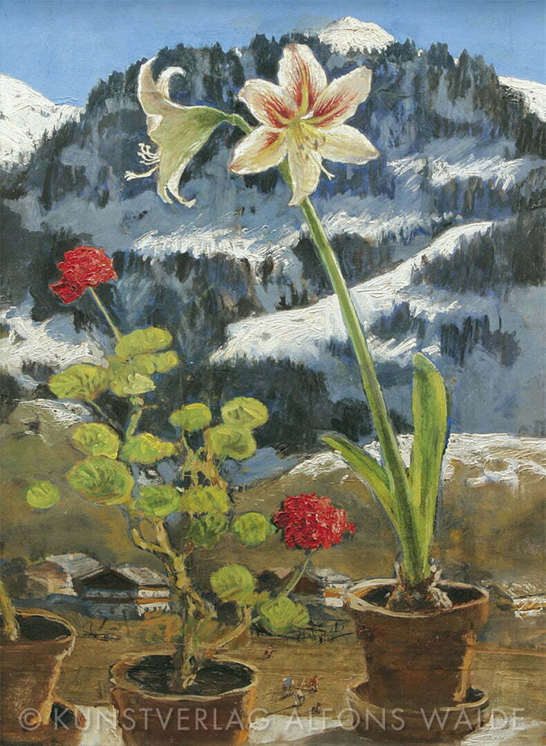 		Amaryllis und Pelargonie, Hahnenkamm im Schnee, 1954