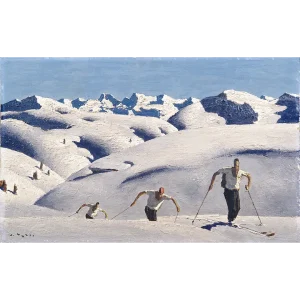 Diverse Leinwände per Quadratmeter